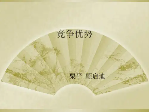 竞争优势概述(共 48张PPT)