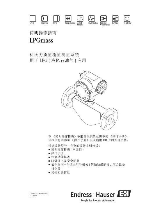 LPGmass 科氏力质量流量测量系统操作指南说明书