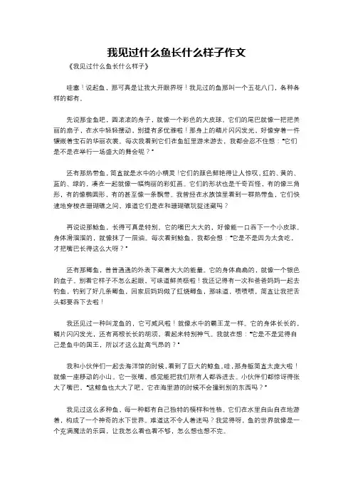 我见过什么鱼长什么样子作文