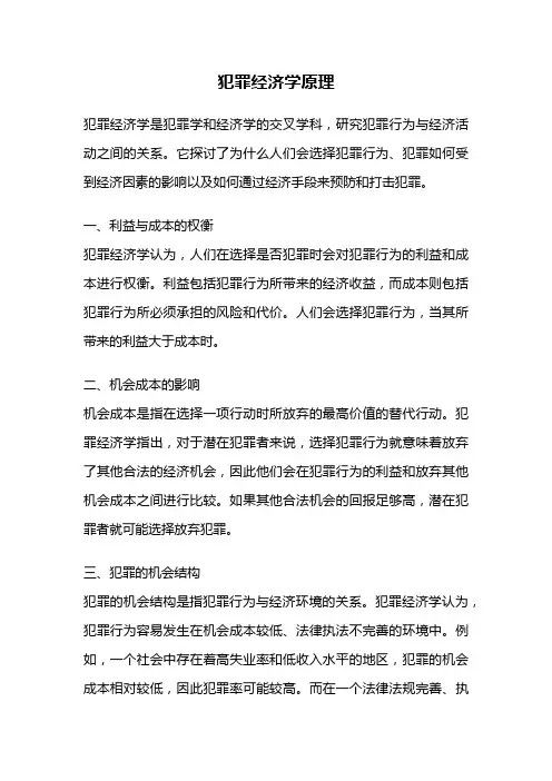 犯罪经济学原理