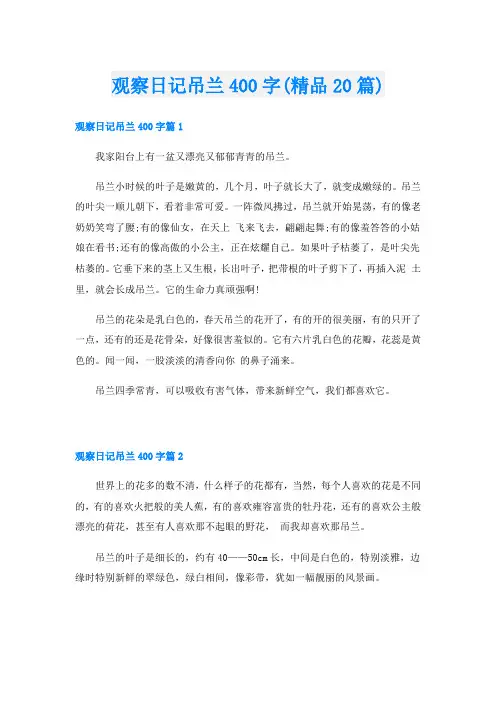 观察日记吊兰400字(精品20篇)