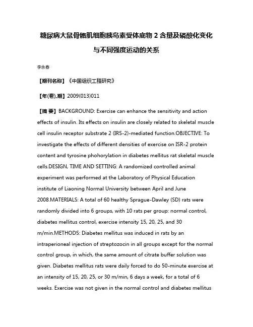 糖尿病大鼠骨骼肌细胞胰岛素受体底物2含量及磷酸化变化与不同强度运动的关系