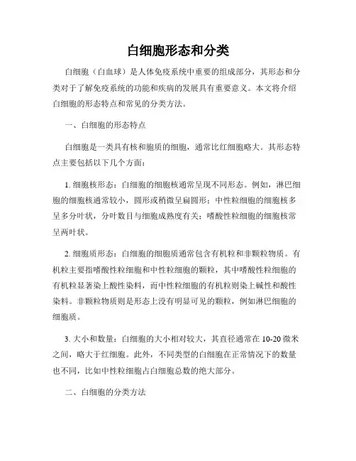 白细胞形态和分类