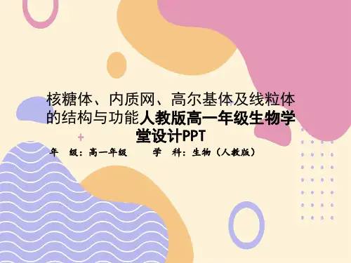核糖体、内质网、高尔基体及线粒体的结构与功能人教版高一年级生物学堂设计PPT