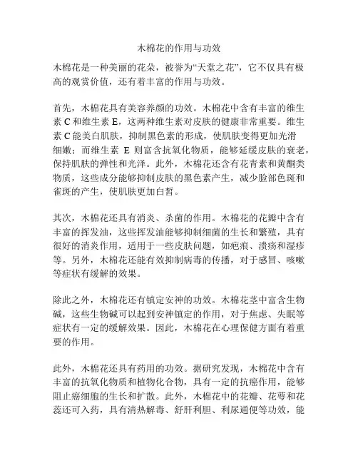 木棉花的作用与功效