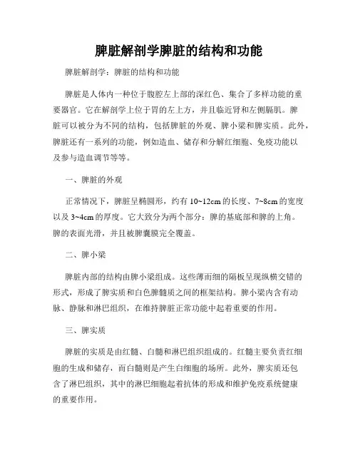 脾脏解剖学脾脏的结构和功能