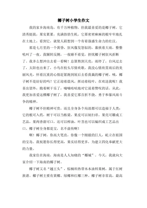 椰子树小学生作文