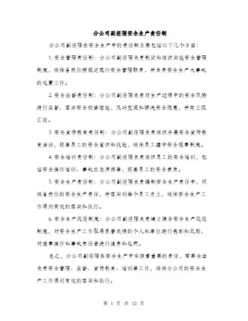 分公司副经理安全生产责任制（五篇）
