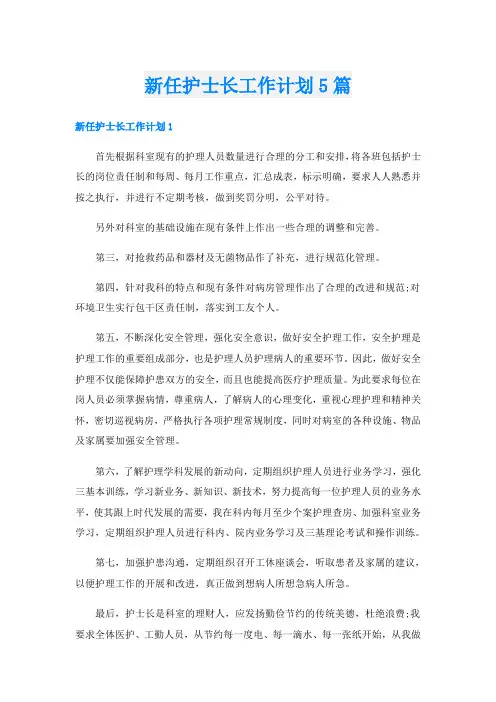 新任护士长工作计划5篇
