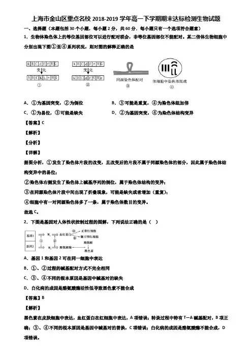 上海市金山区重点名校2018-2019学年高一下学期期末达标检测生物试题含解析