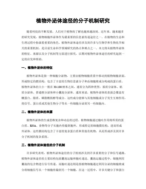 植物外泌体途径的分子机制研究