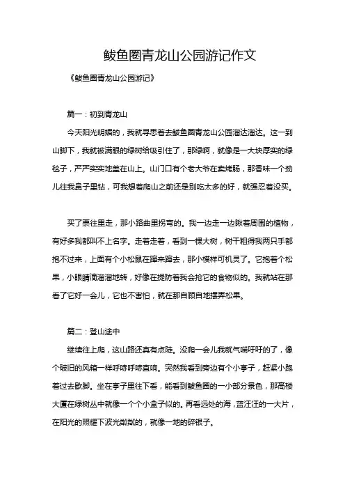 鲅鱼圈青龙山公园游记作文