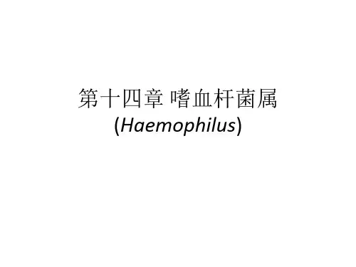 第14章.嗜血杆菌属