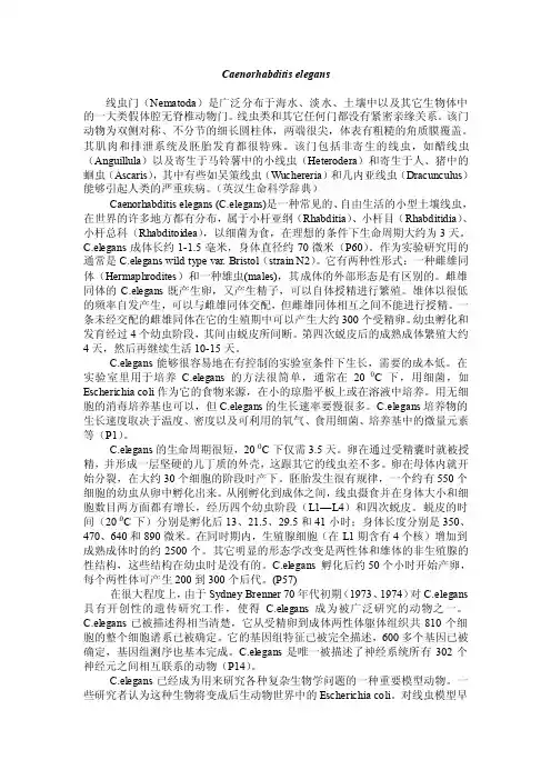 线虫1——精选推荐