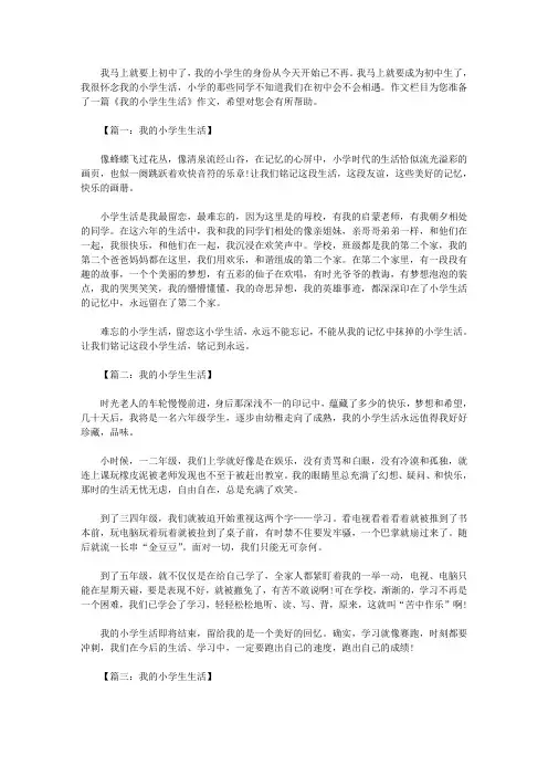 我的小学生生活