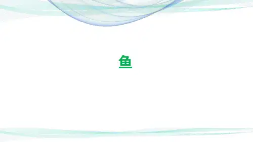 人教版生物八年级上册第五单元第一章第四节  鱼(16张PPT)