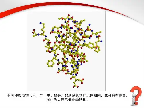 文献演讲胰岛素-精选文档