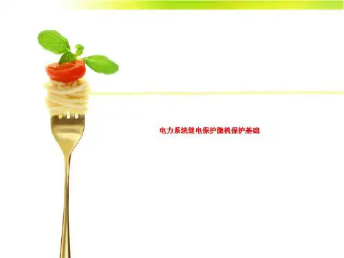 电力系统继电保护微机保护基础