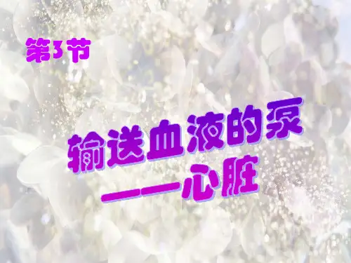输送血液的泵——心脏PPT精品课件