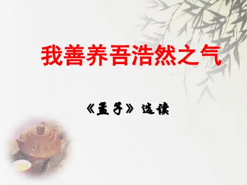 13《我善养吾浩然之气》