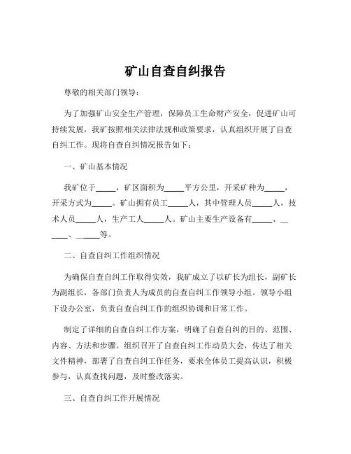 矿山自查自纠报告