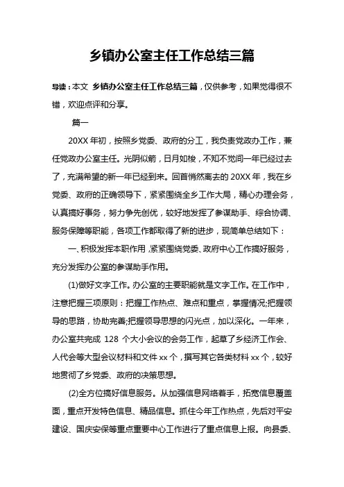 乡镇办公室主任工作总结三篇
