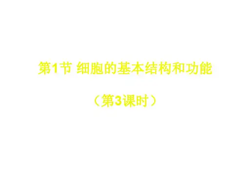 七年级生物细胞的基本结构和功能3