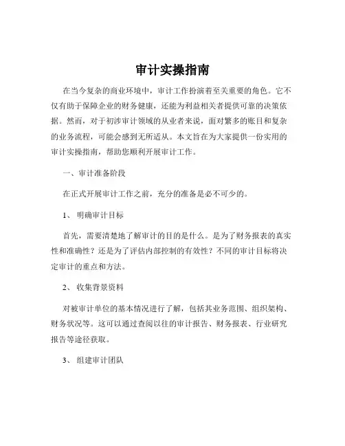 审计实操指南