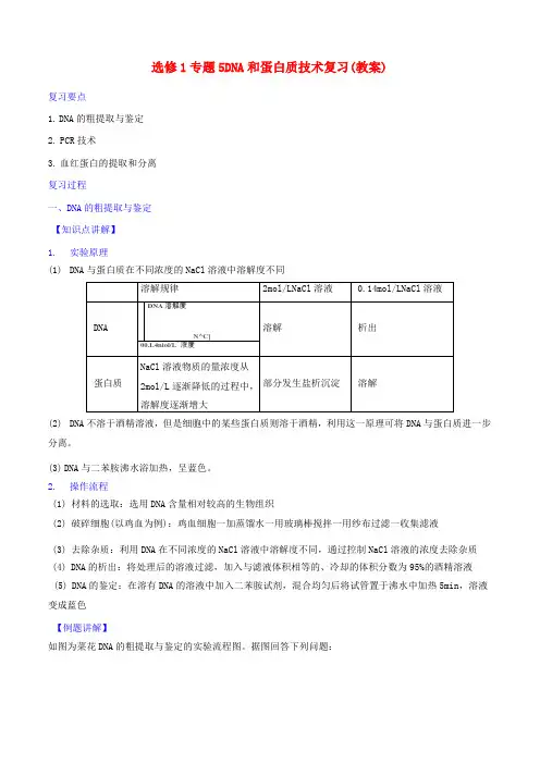 人教版高中生物选修1专题5dna和蛋白质技术复习教案