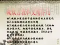 1减数分裂过程中遗传物质的主要变化.ppt