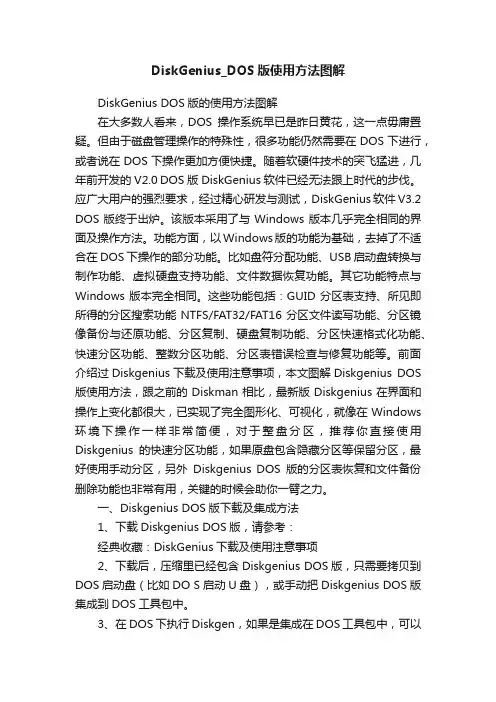 DiskGenius_DOS版使用方法图解