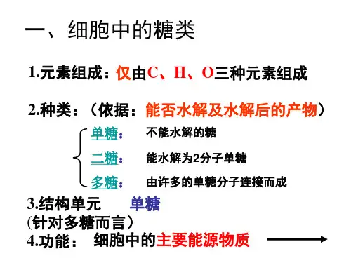 有机化合物及生物大分子(糖类、脂质和核酸)