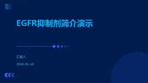 EGFR抑制剂简介演示