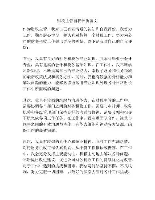 财税主管自我评价范文