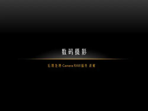 数码摄影-11-后期处理-Camera RAW