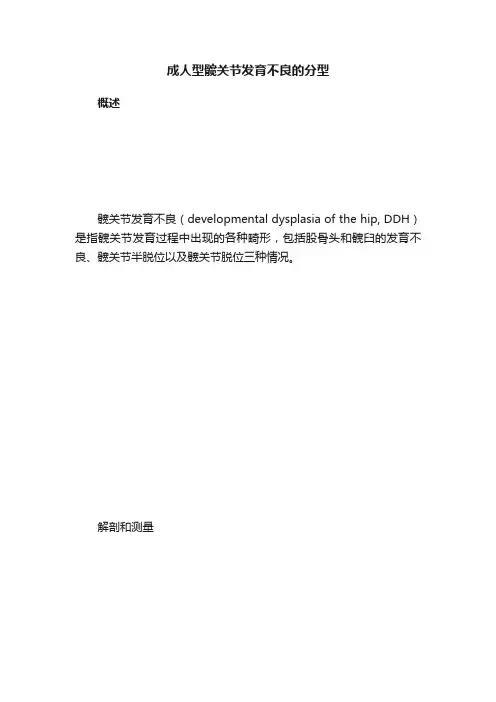 成人型髋关节发育不良的分型