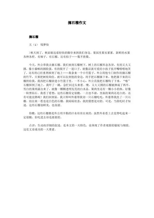 摘石榴作文