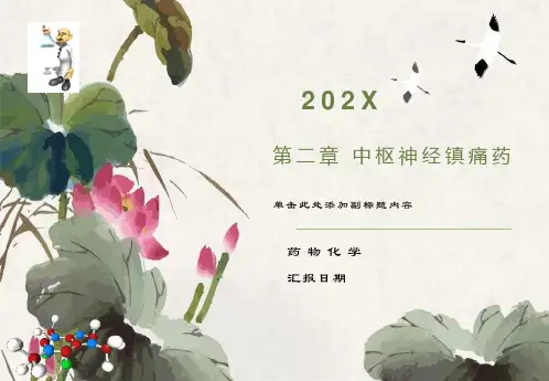 药物化学中枢神经镇痛药