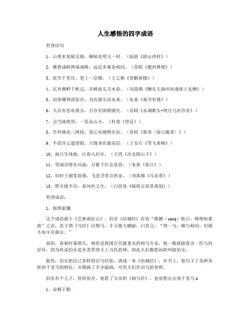 人生感悟的四字成语