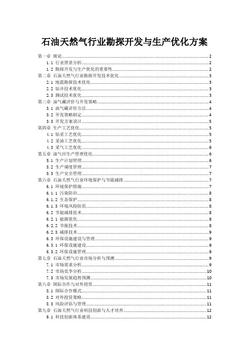 石油天然气行业勘探开发与生产优化方案