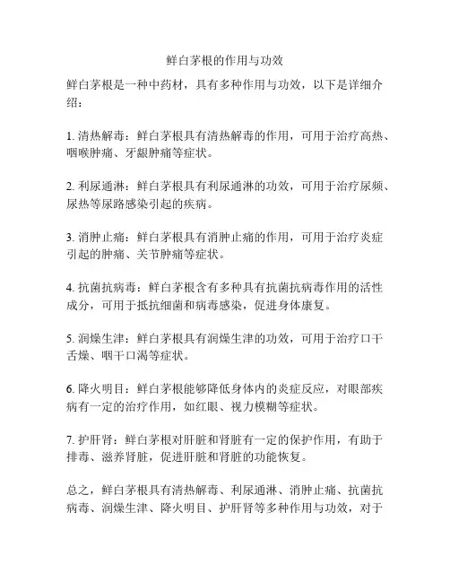 鲜白茅根的作用与功效