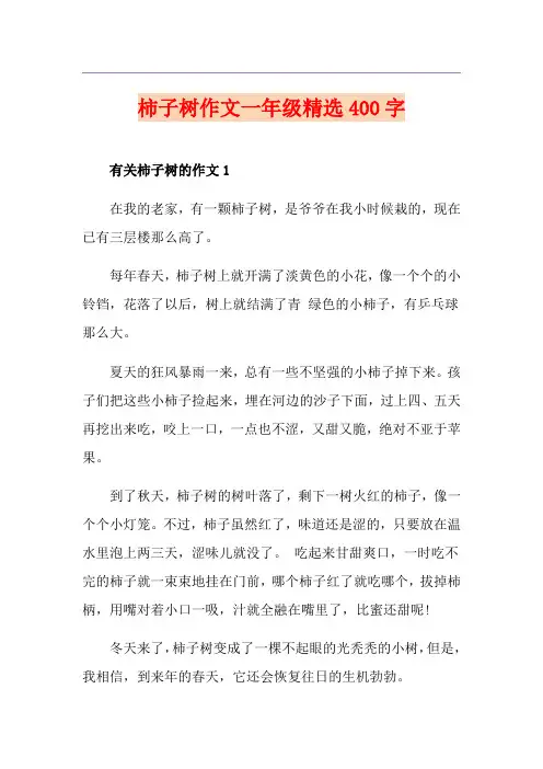 柿子树作文一年级精选400字