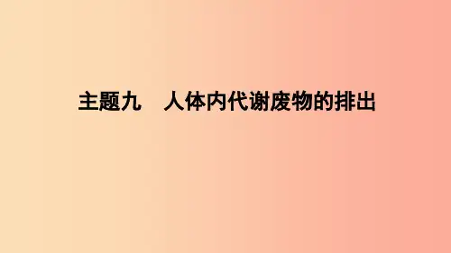 山东省2019年中考生物主题复习九人体内代谢废物的排出课件济南版PPT