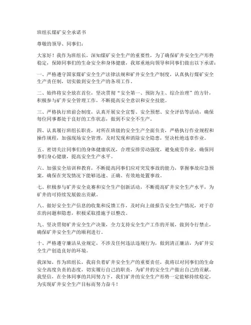 班组长煤矿安全承诺书