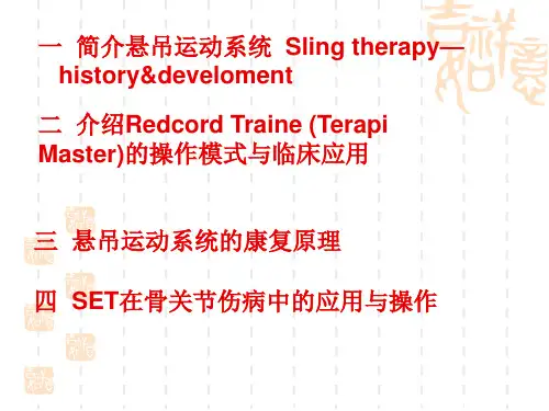 悬吊康复训练系统PPT课件