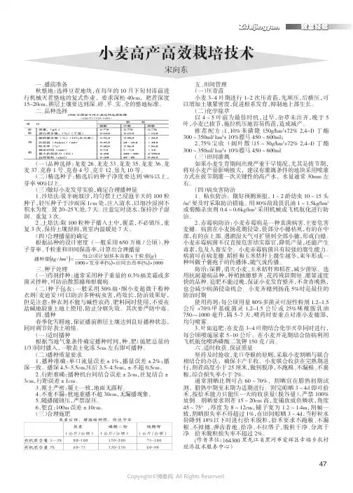 小麦高产高效栽培技术