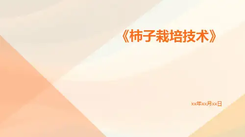 柿子栽培技术