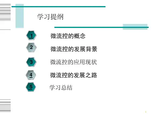 初识微流控ppt课件