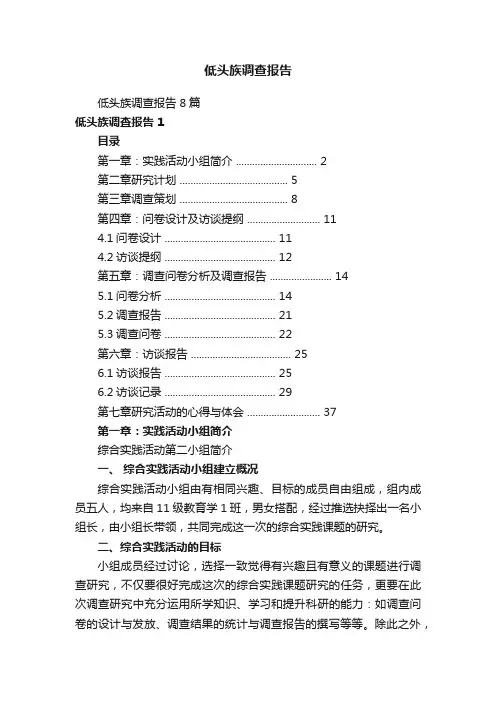 低头族调查报告
