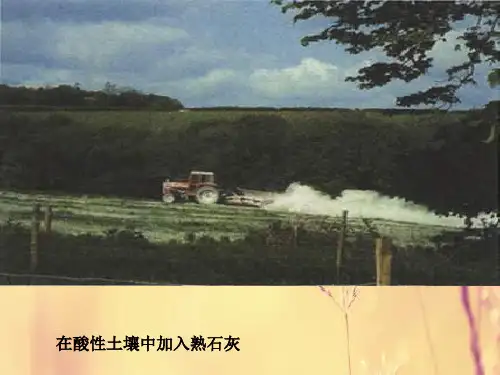 复分解反应PPT教学课件